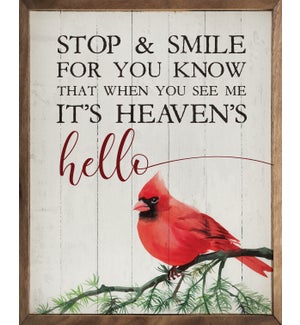Heaven's Hello Cardinal Whitewash